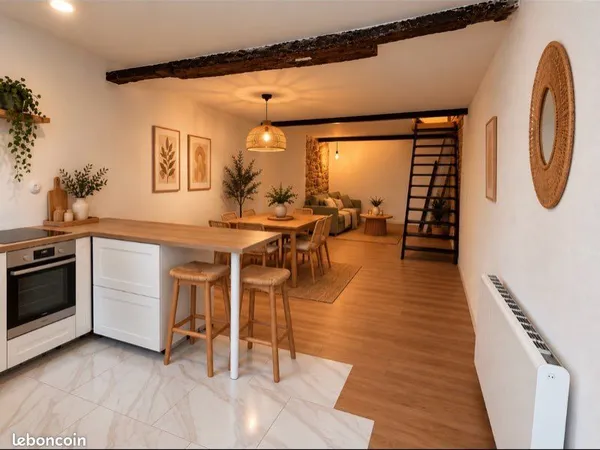 T3 atypique en triplex esprit loft - 60 m² Carrez / environ 80 m² au sol