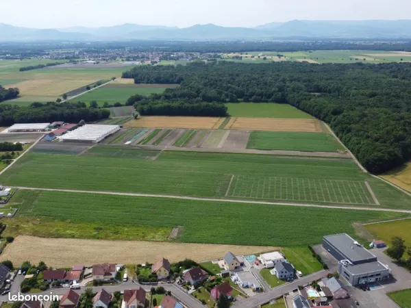 Vente | Terrain | 689 m² | Bindernheim