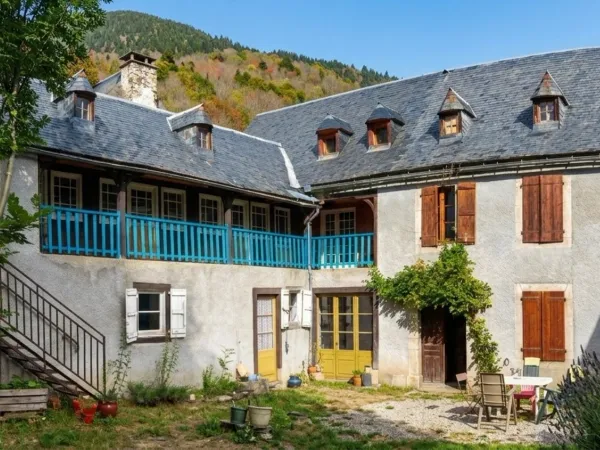 Propriete à vendre 10 pièces VIELLE LOURON (65)
