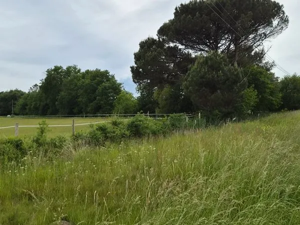 Terrain à bâtir en pleine nature
