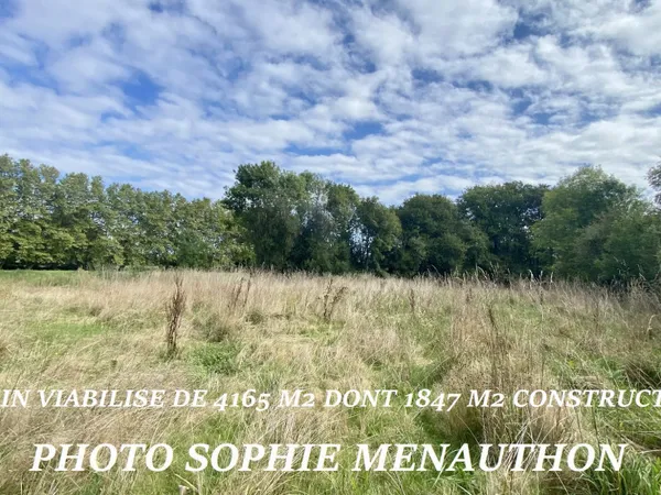 Terrain 4165 m²