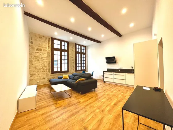 RARE. Grand T2 de 62 m² avec patio privatif, climatisé, hypercentre Montpellier