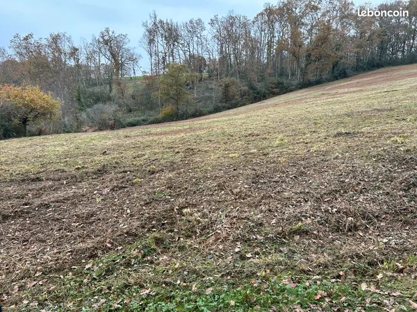 Terrain agricole