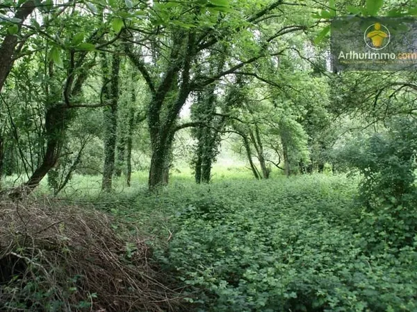 Terrain 50000 m²