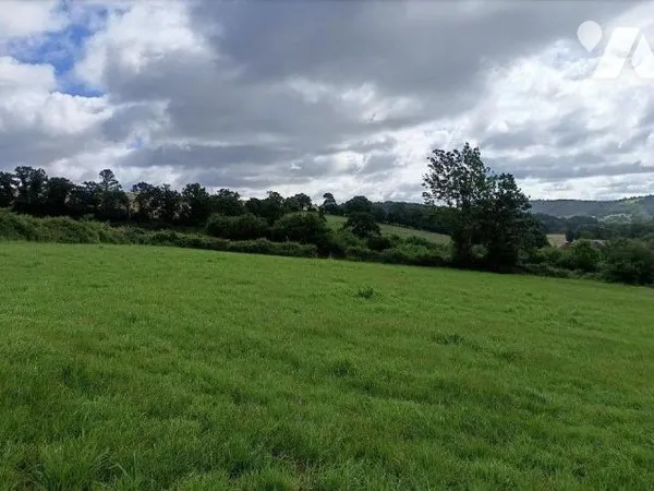 Terrain 8305 m²