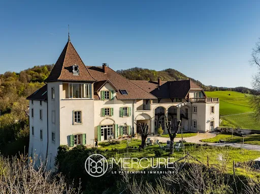 Château 40 pièces 950 m²