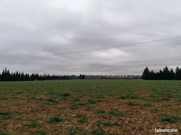 Terre agricole
