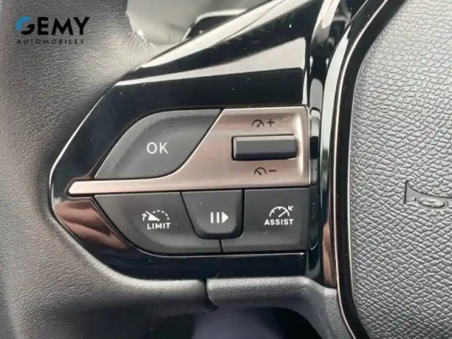 Peugeot 308 sw phev 180 e-eat8 — photo 28