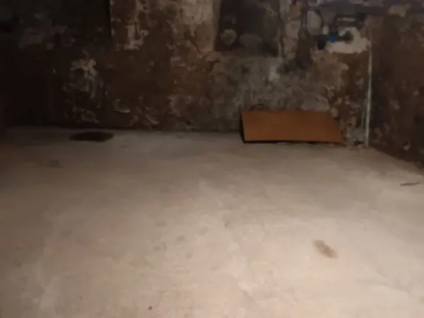 Immeuble de rapport 8 pièces 294 m²