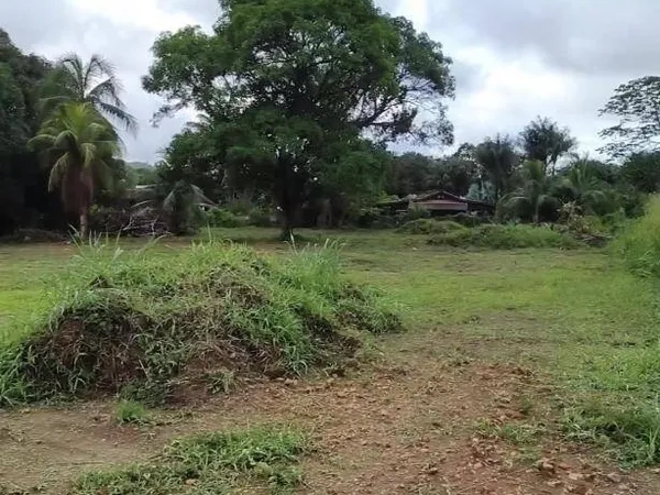 Terrain destiné à l'habitat INVESTISSEMENT