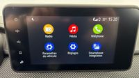 Dacia Sandero 1.0 ECO-G 100ch Stepway Confort -22 — photo 28