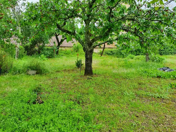 GRANDE MAISON JARDIN et DEPENDANCES