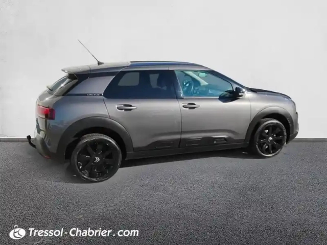Citroën C4 cactus puretech 110 s&amp;s bvm6 shine — photo 12