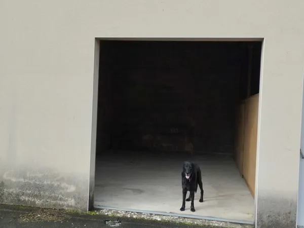 GARAGE LOCAL 28 M2