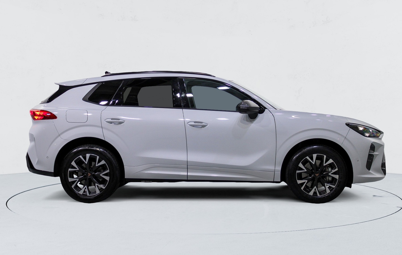 Cupra Terramar — photo 6