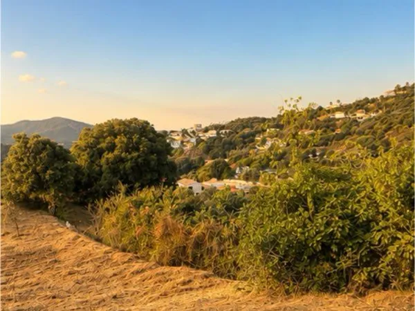 Terrain à bâtir