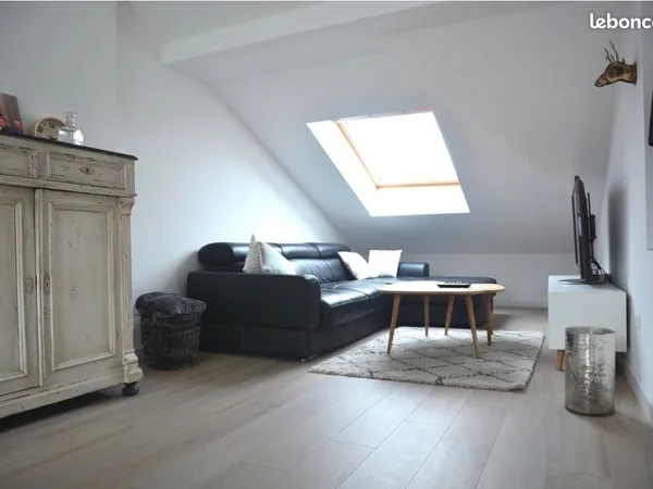 Cause mutation , appartement cosy à louer