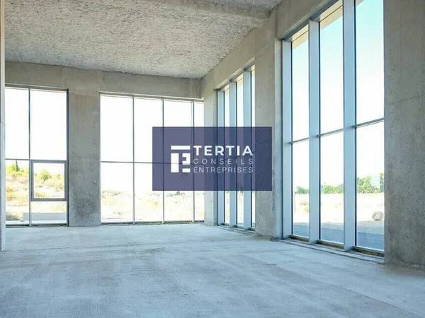 Local commercial 292 m²