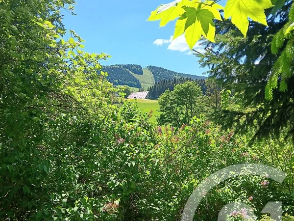Terrain 636 m²