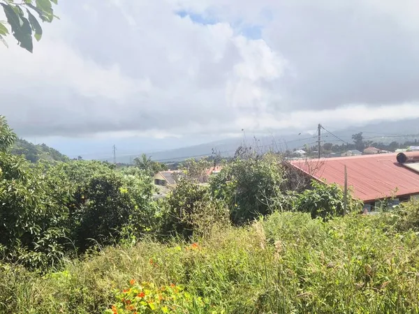 Terrain 3250 m² Tampon