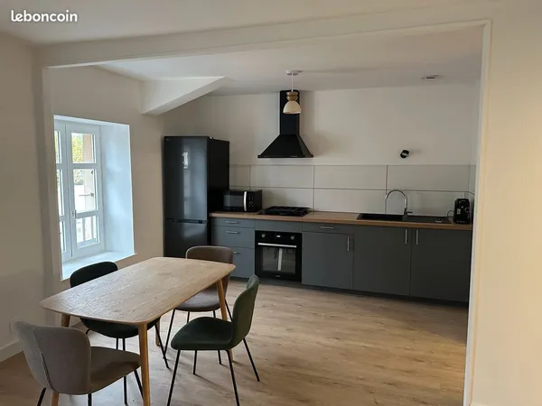 Superbe T3 meublé rénové - 64,5 m² - Roussillon - secteur Mairie
