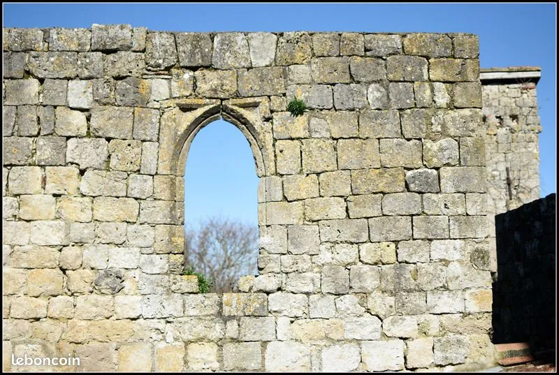 Photo 18