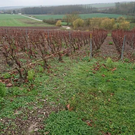 Bien agricole et foncier Vente Glannes  1191m² 107190€