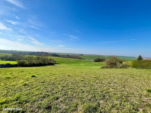 Terrain 10 000 m² Saint Clar