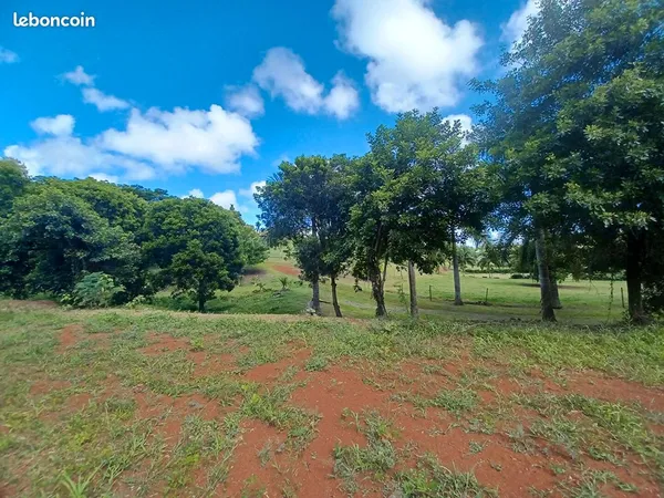 Villa 2 pièces 80 m²