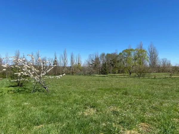 Terrain 253 m²
