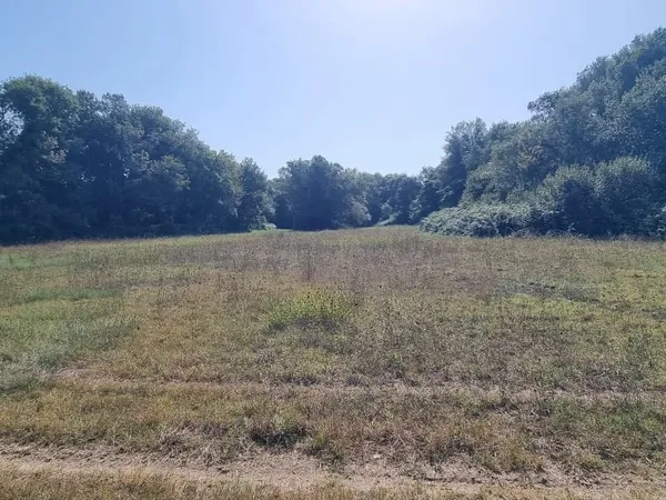 Terrain 6305 m²