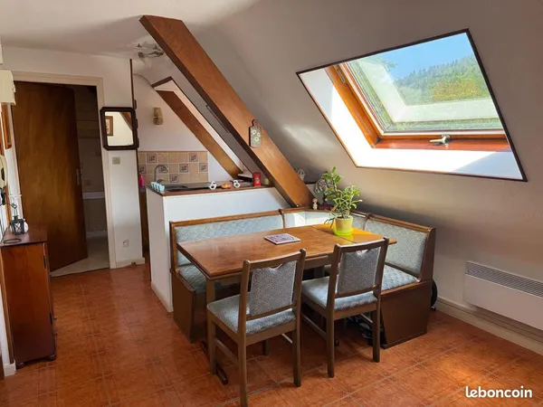Studio 1 pièce 19 m²