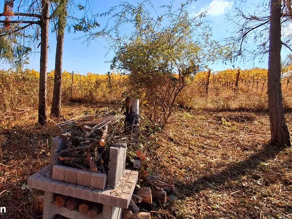 Location jardin Barr Heiligenstein 75/mois