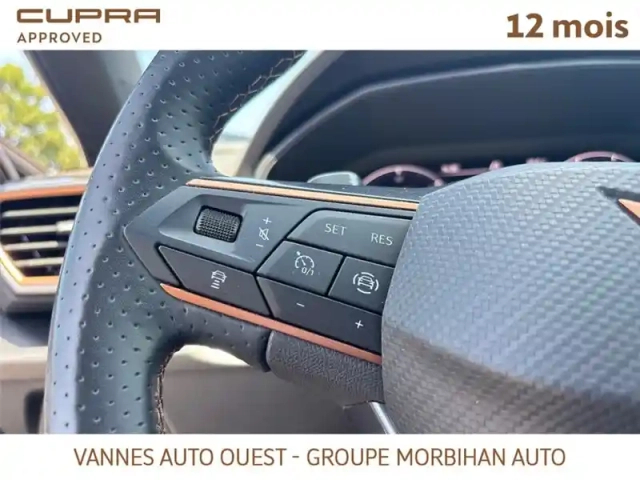 Cupra Formentor 1.4 e-hybrid 245 ch dsg6 — photo 63