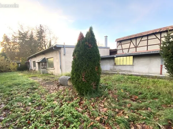 Local 1530 m² Colmar