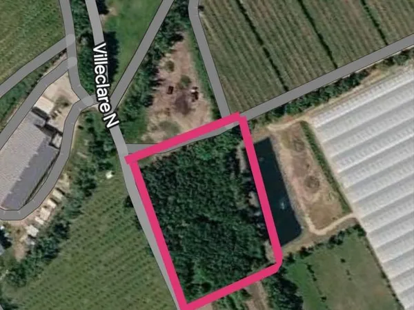 Terrain agricole arboré