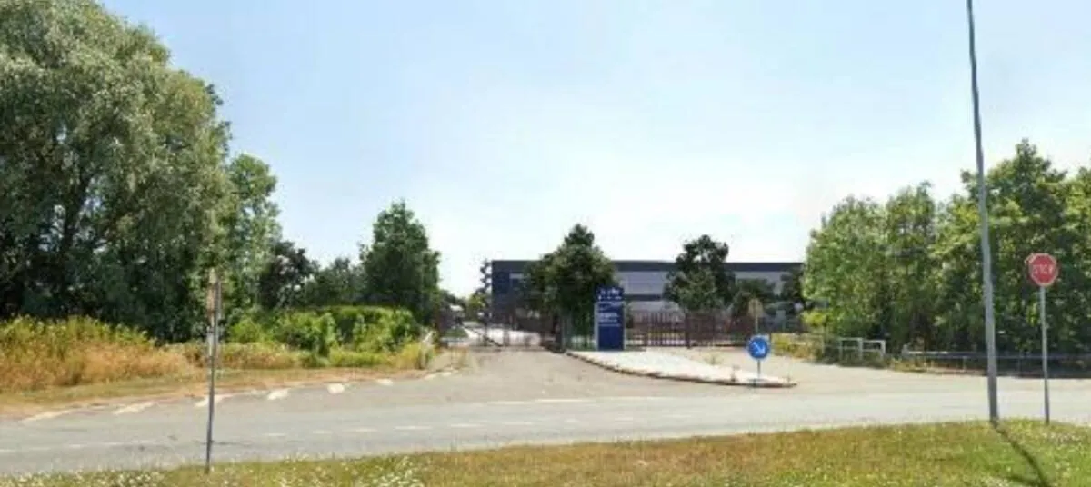 Photo 5
