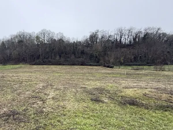 Terrain 961 m²