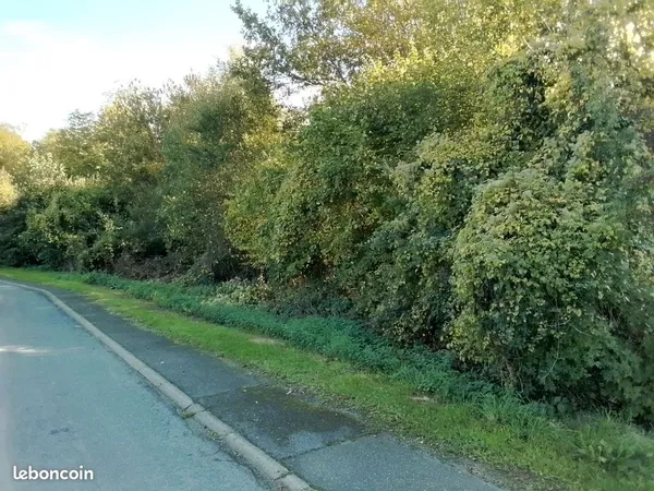 Deux parcelles de bois