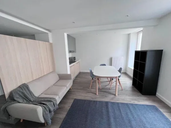 Charmant 3 pièces 60m² rénové à Nancy