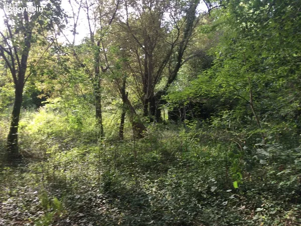 Proche Vieux-Boucau-les-Bains, Landes. Vends terrain de 3401 m2 dont 700 m2 constructibles