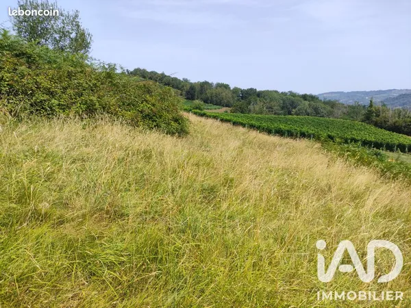 Terrain 1000 m² Monein