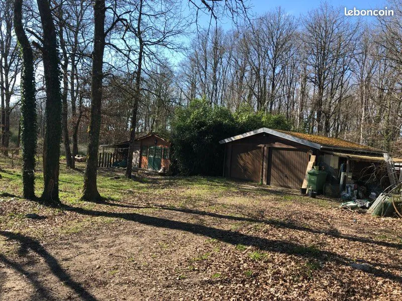 Photo 14