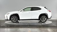 Lexus Ux 250h 2WD F SPORT MY21 — photo 7