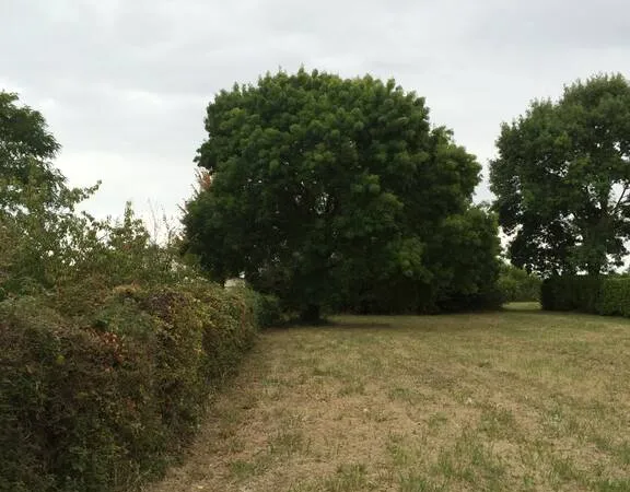 Terrain à bâtir Vente Arvert 135000€