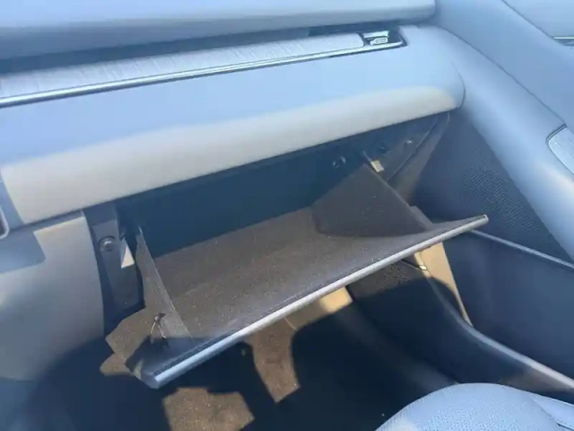 Xpeng P7 + autonomie etendue — photo 39