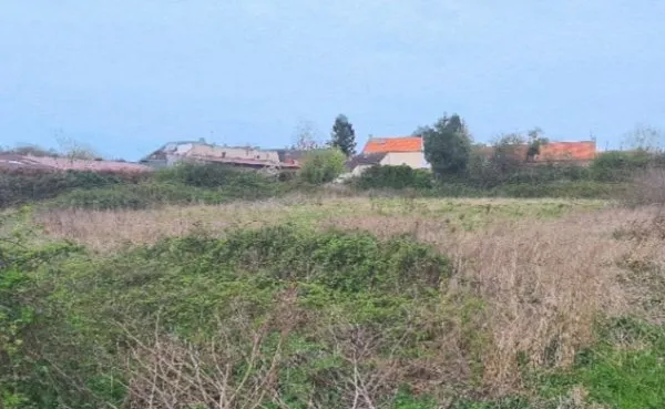 Terrain 965 m²