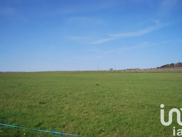 Terrain 2186 m²