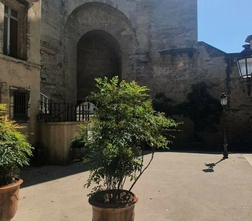 MONTPELLIER // ECUSSON // OBSERVATOIRE // T1BIS MEUBLE
