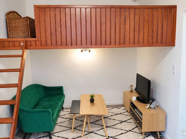 Nantes cathédrale - t1 bis avec mezzanine + cabanon